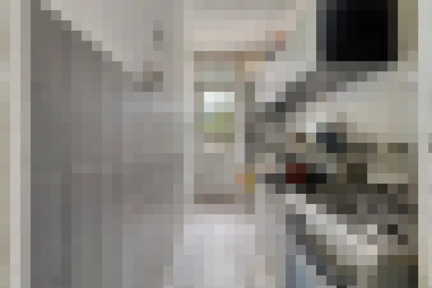 Donkerslootstraat 46 B Rotterdam thumbnail 7