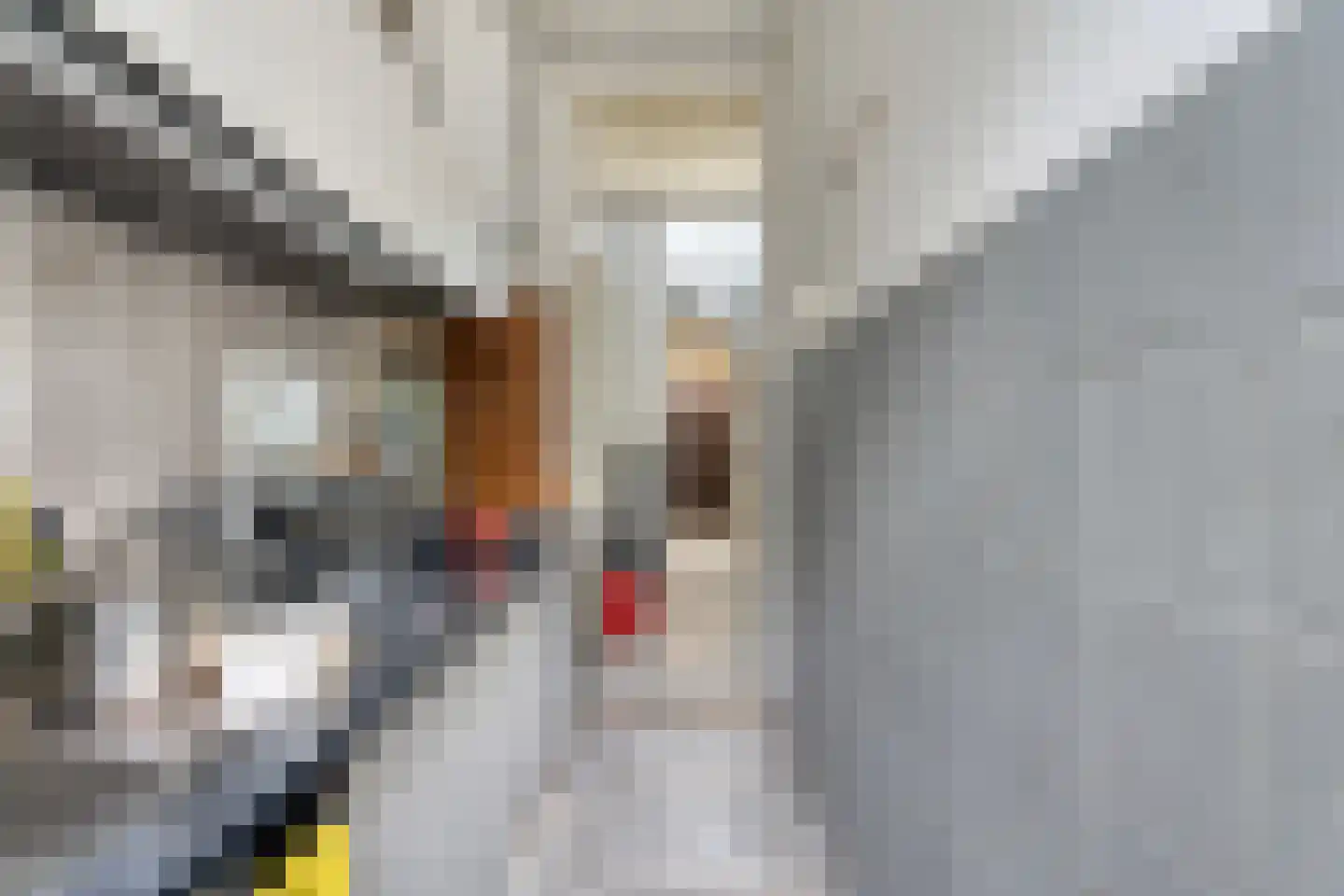 Donkerslootstraat 46 B Rotterdam thumbnail 9
