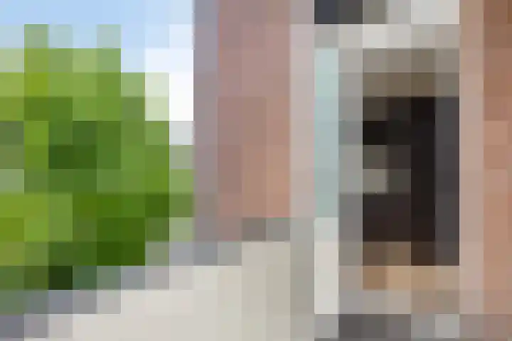 Donkerslootstraat 63 A Rotterdam thumbnail 13