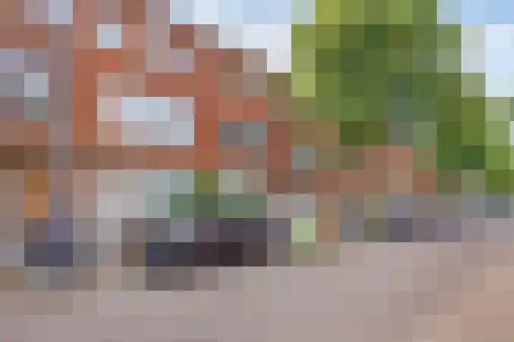 Donkerslootstraat 63 A Rotterdam thumbnail 31