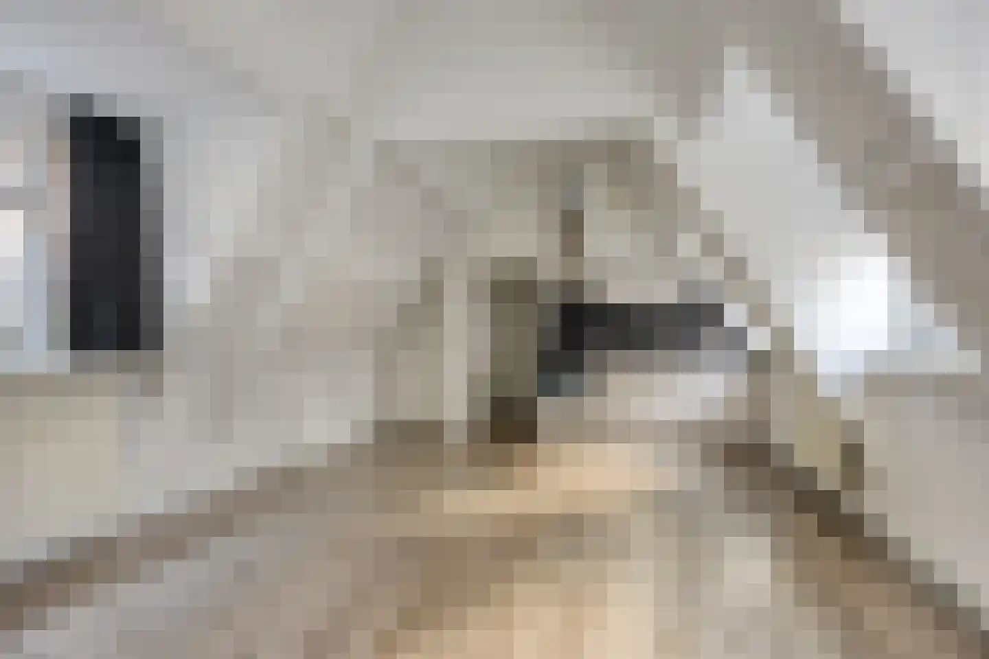 Donkerstraat 1 A Harderwijk thumbnail 4