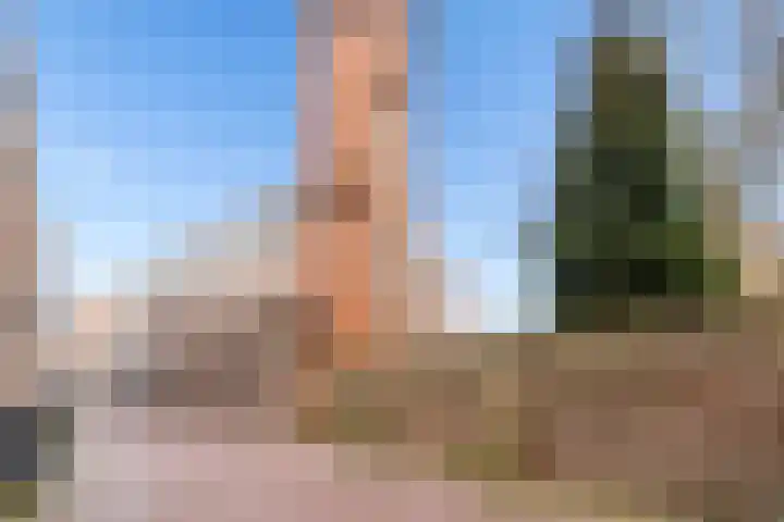 Donkerstraat 11 A Harderwijk thumbnail 55