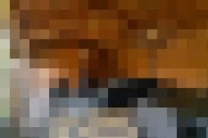 Donkerstraat 12 Aalst thumbnail 34