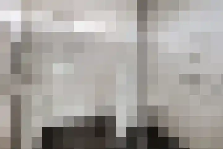 Donkerstraat 12 Goes thumbnail 16