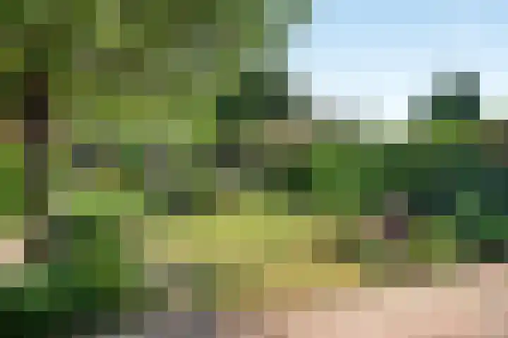Donkerstraat 12 Goes thumbnail 23