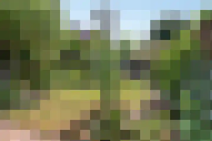 Donkerstraat 12 Goes thumbnail 24