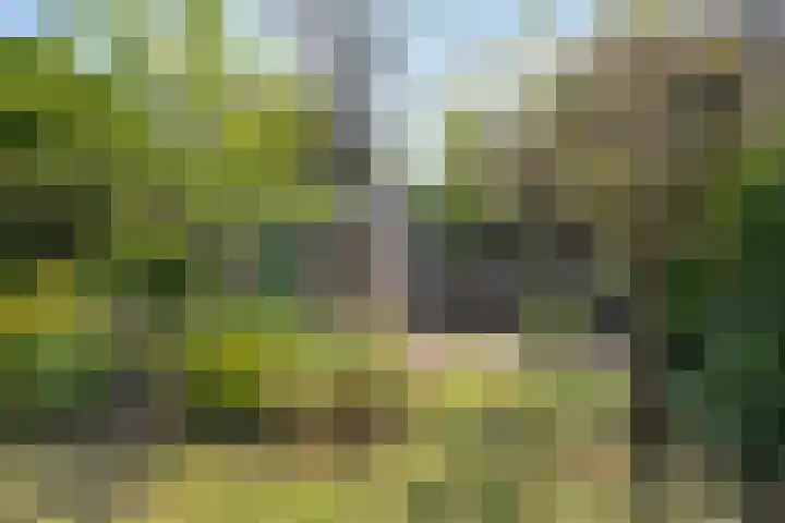 Donkerstraat 12 Goes thumbnail 25