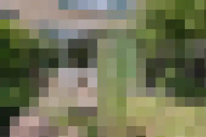 Donkerstraat 12 Goes thumbnail 26