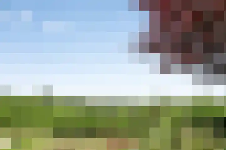 Donkerstraat 12 Goes thumbnail 29