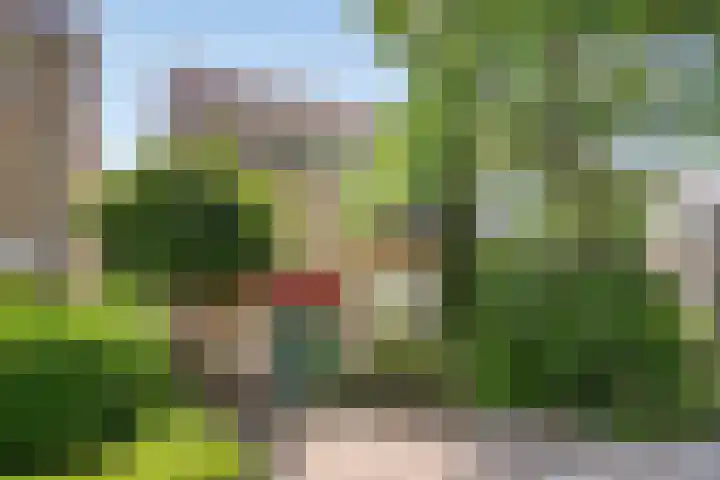 Donkerstraat 12 Goes thumbnail 34