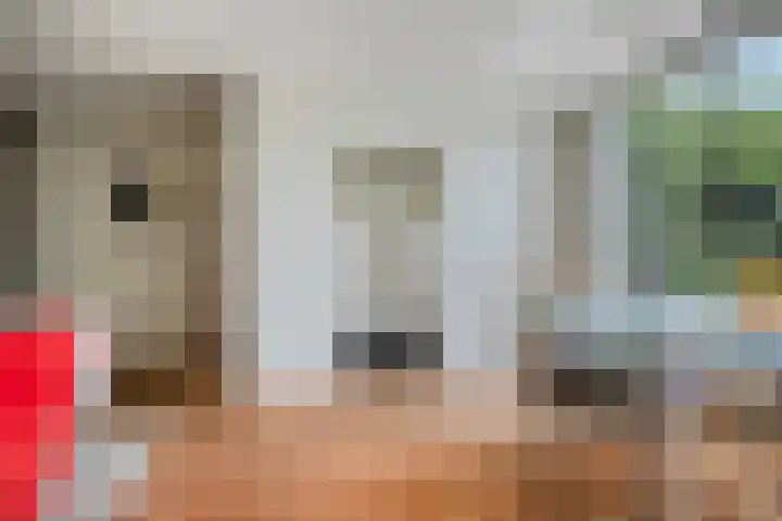 Donkerstraat 12 Goes thumbnail 9