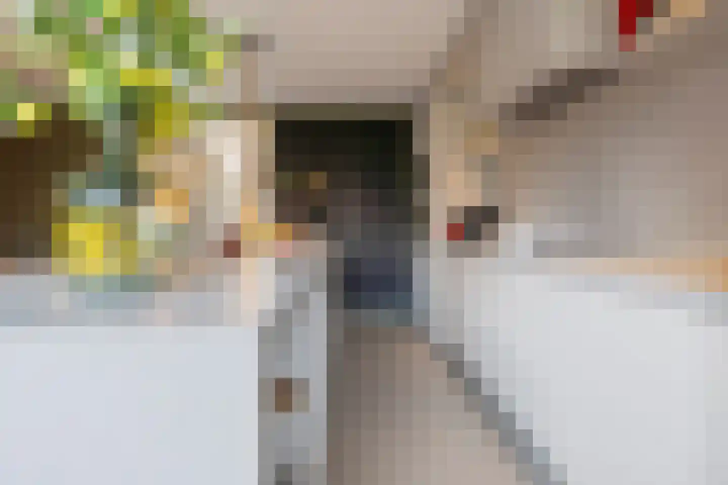 Donkerstraat 138 Etten-Leur thumbnail 25
