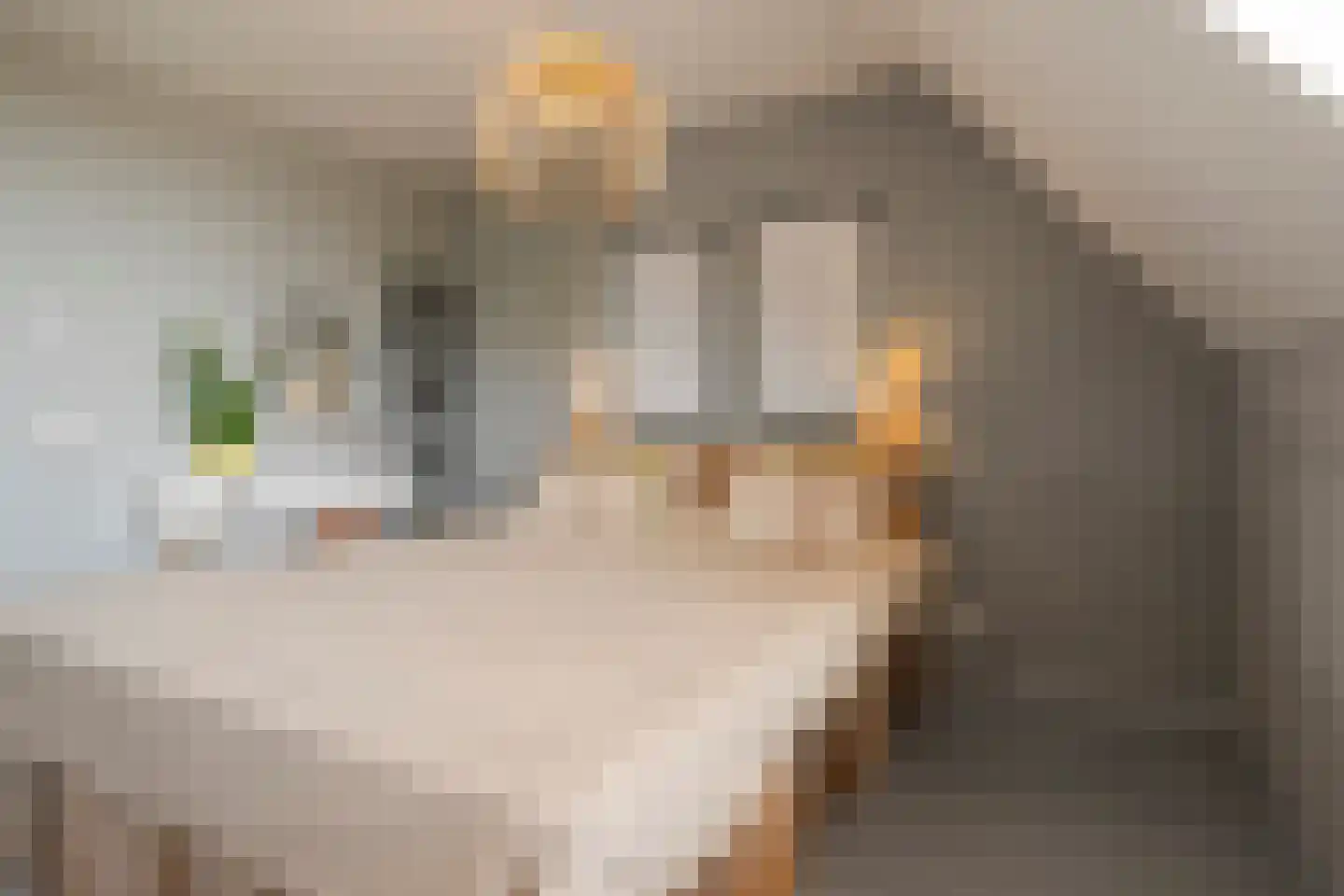 Donkerstraat 138 Etten-Leur thumbnail 33