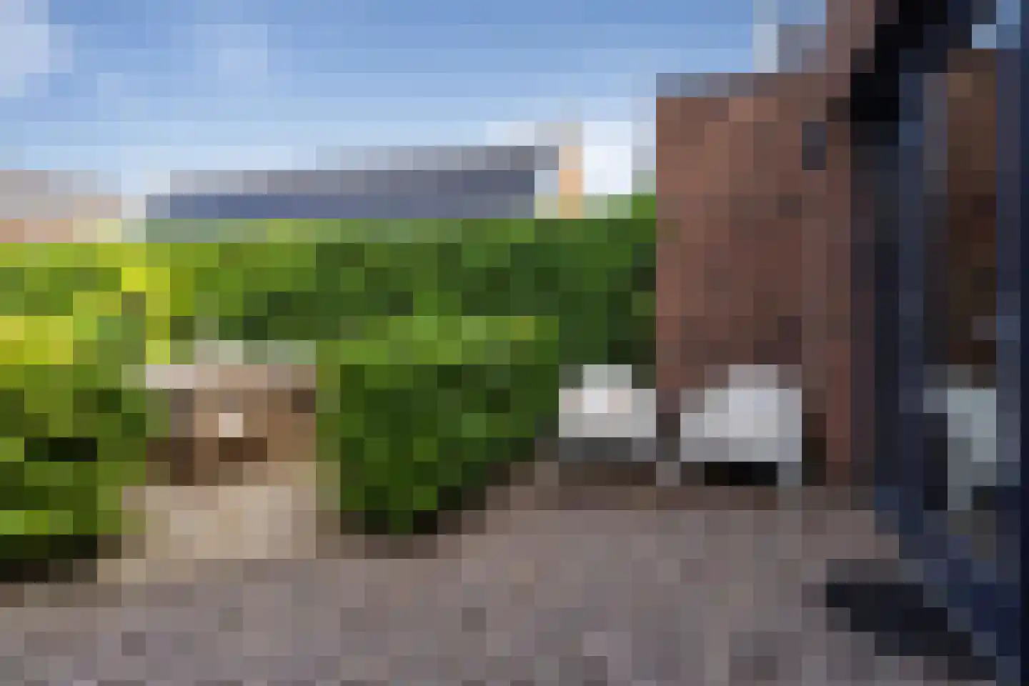 Donkerstraat 138 Etten-Leur thumbnail 53