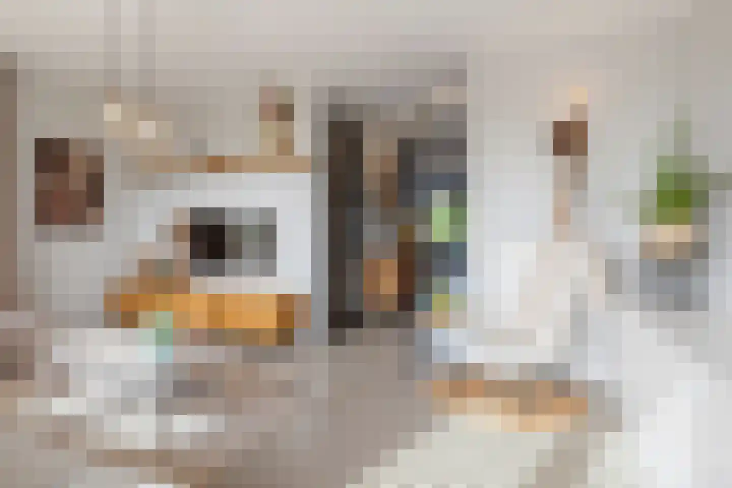Donkerstraat 138 Etten-Leur thumbnail 9