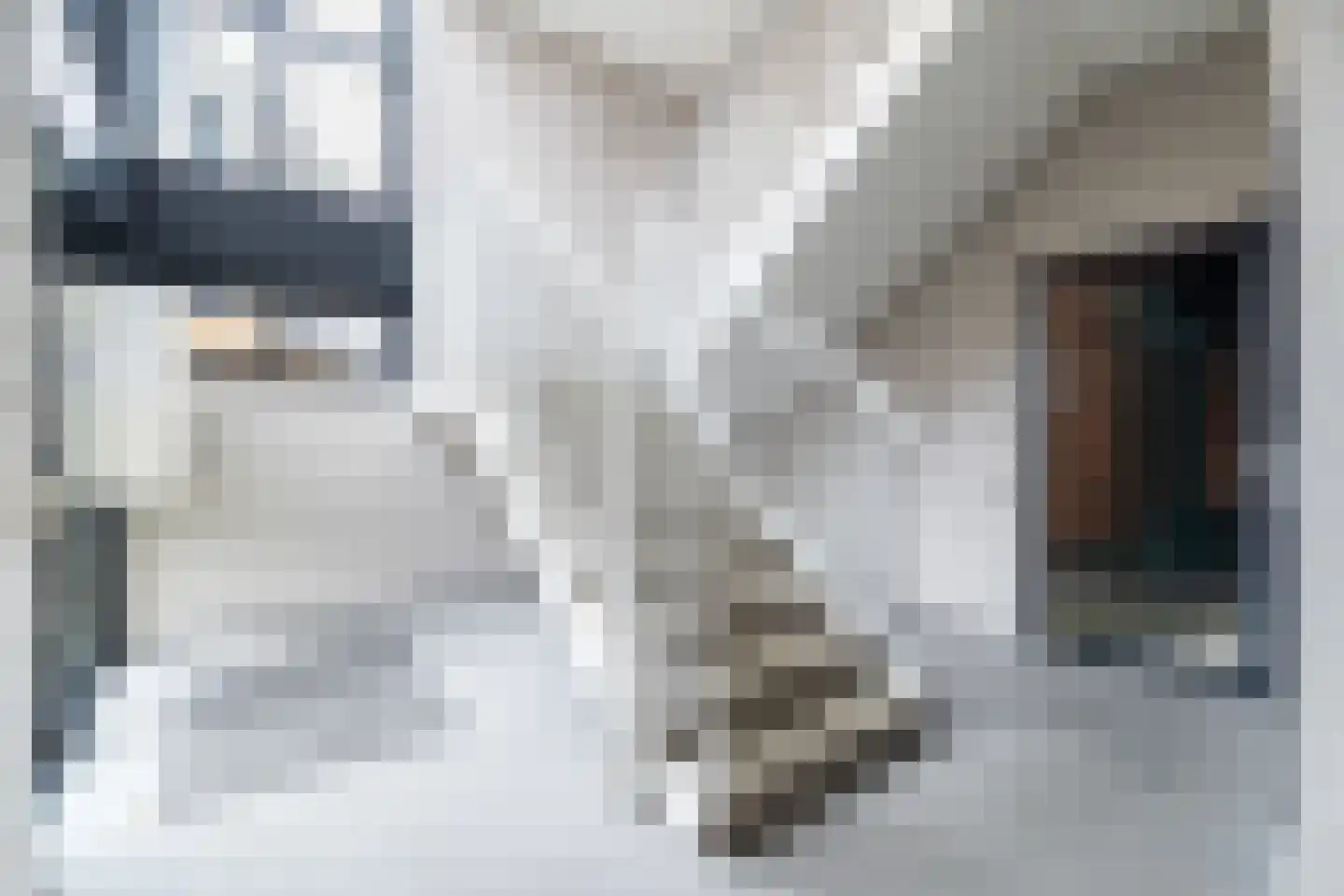 Donkerstraat 14 Oosterhout thumbnail 21