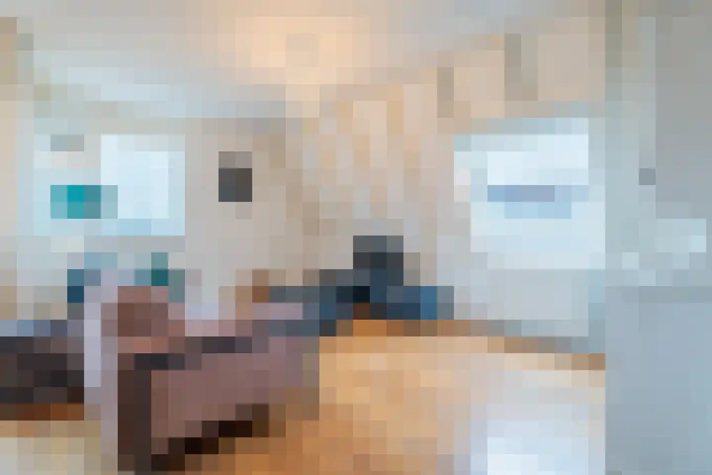 Donkerstraat 14 Oosterhout thumbnail 6