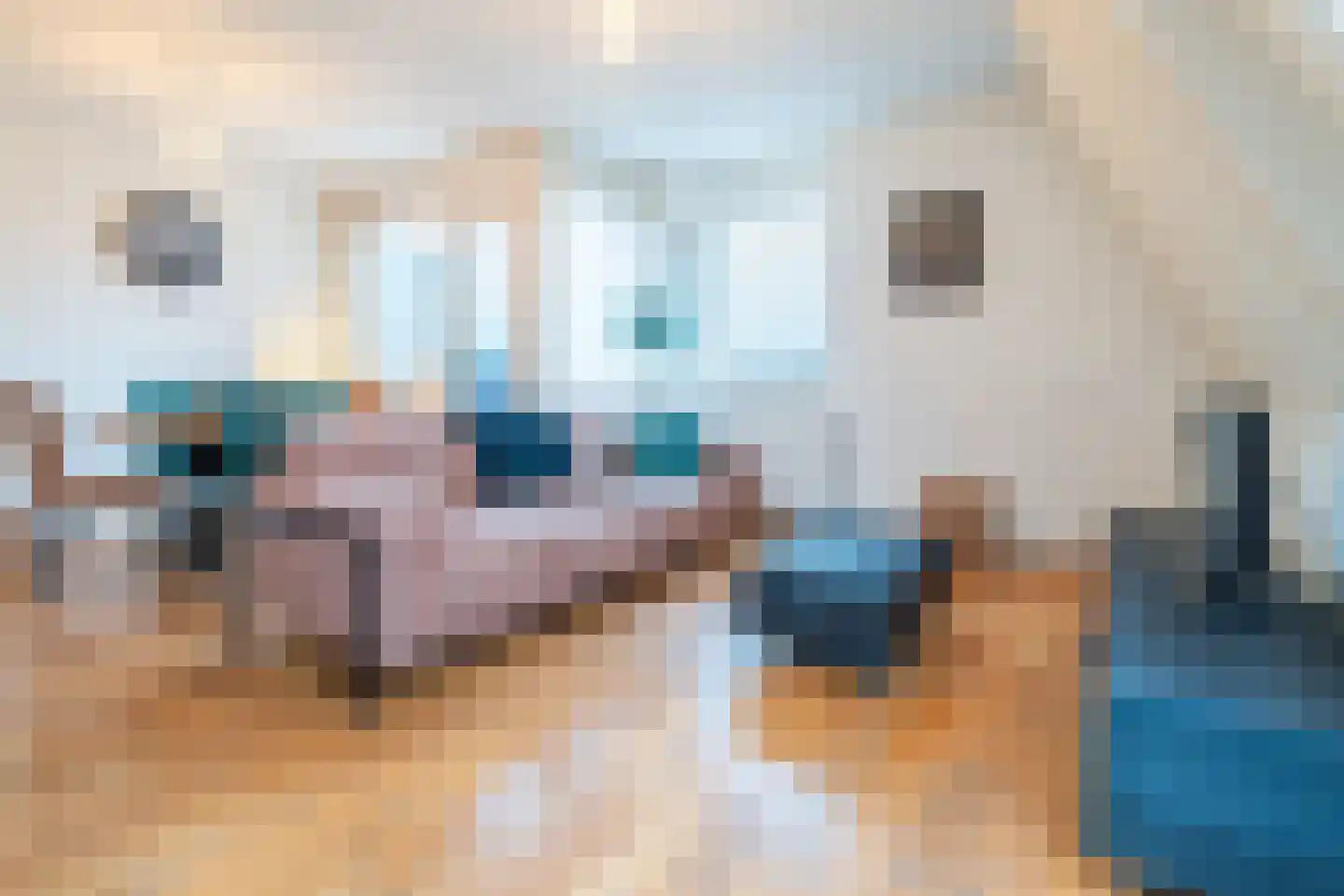 Donkerstraat 14 Oosterhout thumbnail 7