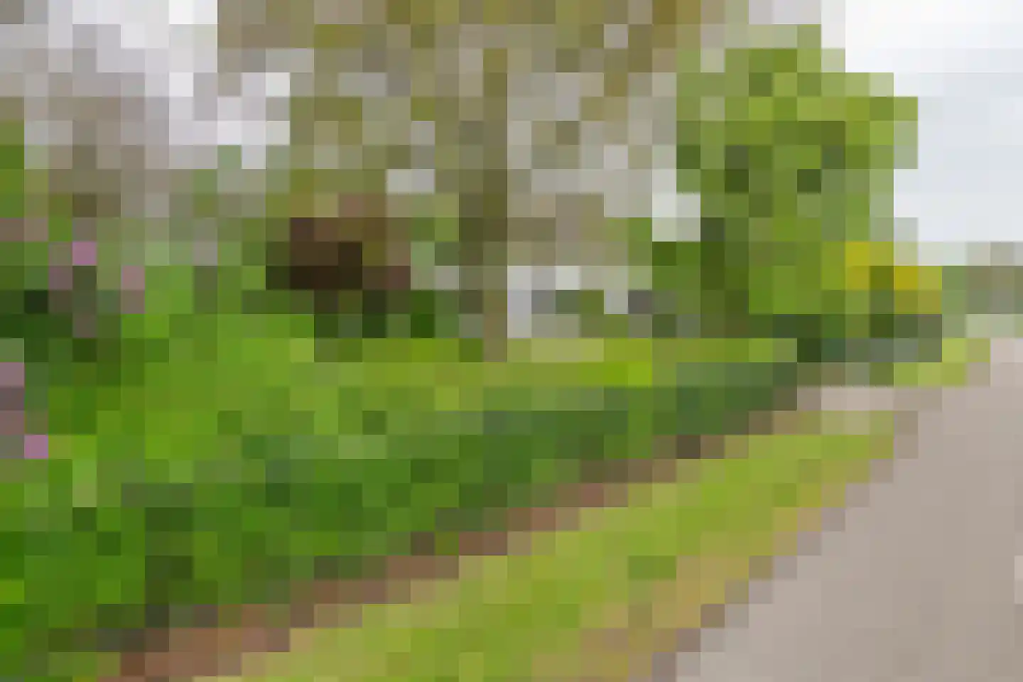Donkerstraat 14 Ravenswaaij thumbnail 13