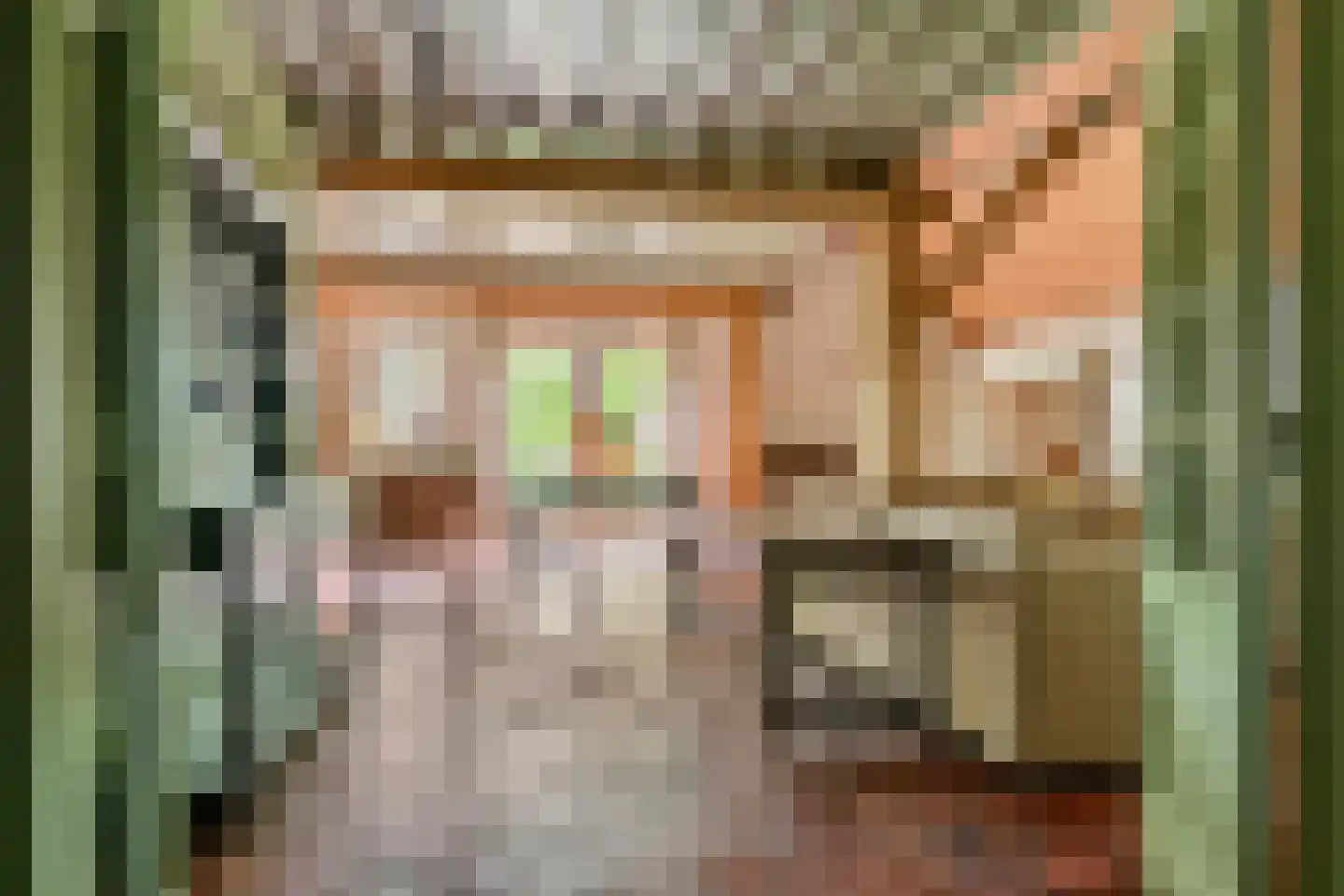 Donkerstraat 14 Ravenswaaij thumbnail 15