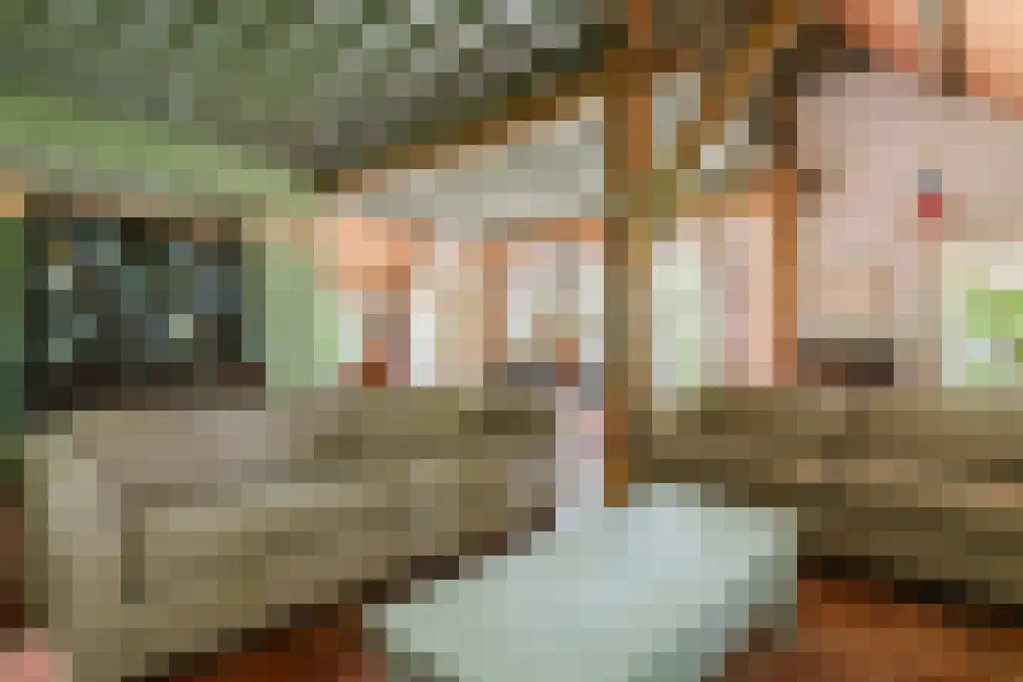 Donkerstraat 14 Ravenswaaij thumbnail 17