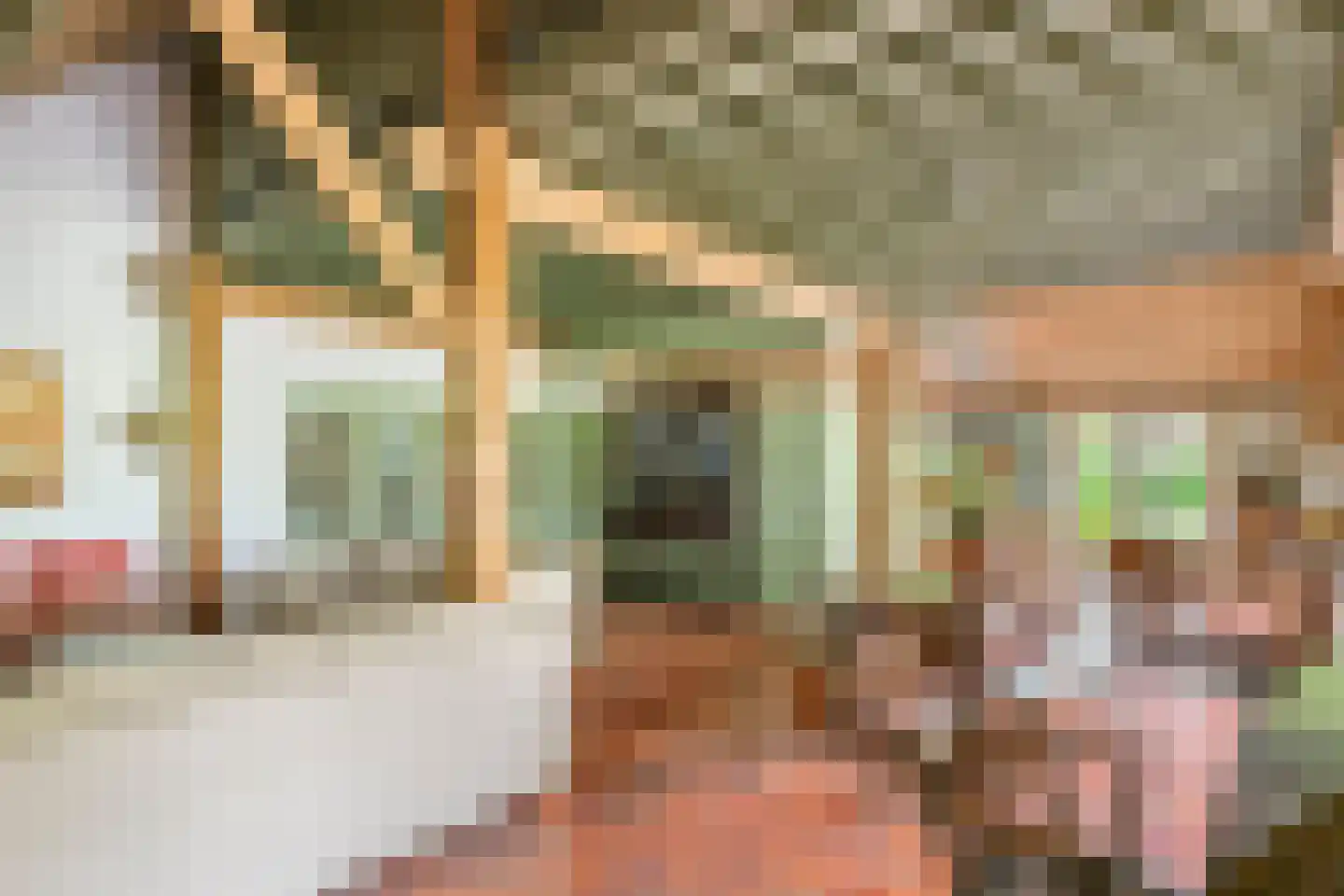 Donkerstraat 14 Ravenswaaij thumbnail 19