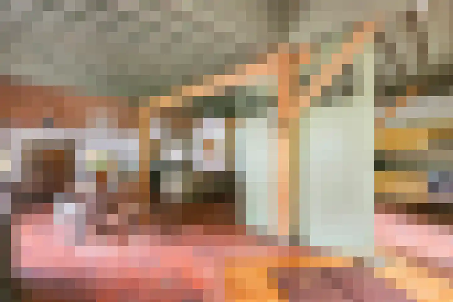 Donkerstraat 14 Ravenswaaij thumbnail 22