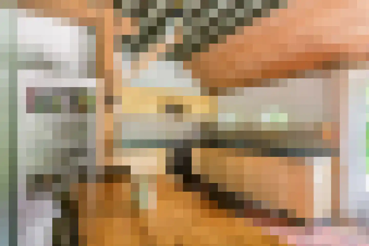 Donkerstraat 14 Ravenswaaij thumbnail 26