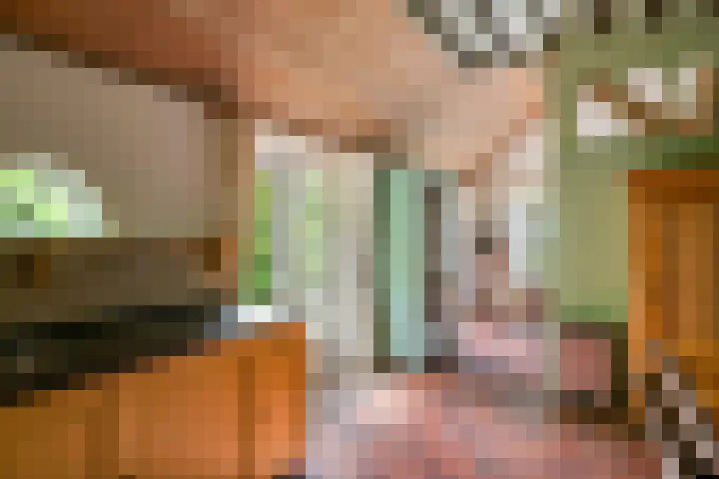 Donkerstraat 14 Ravenswaaij thumbnail 27