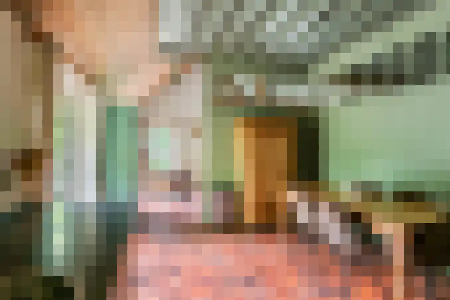 Donkerstraat 14 Ravenswaaij thumbnail 29