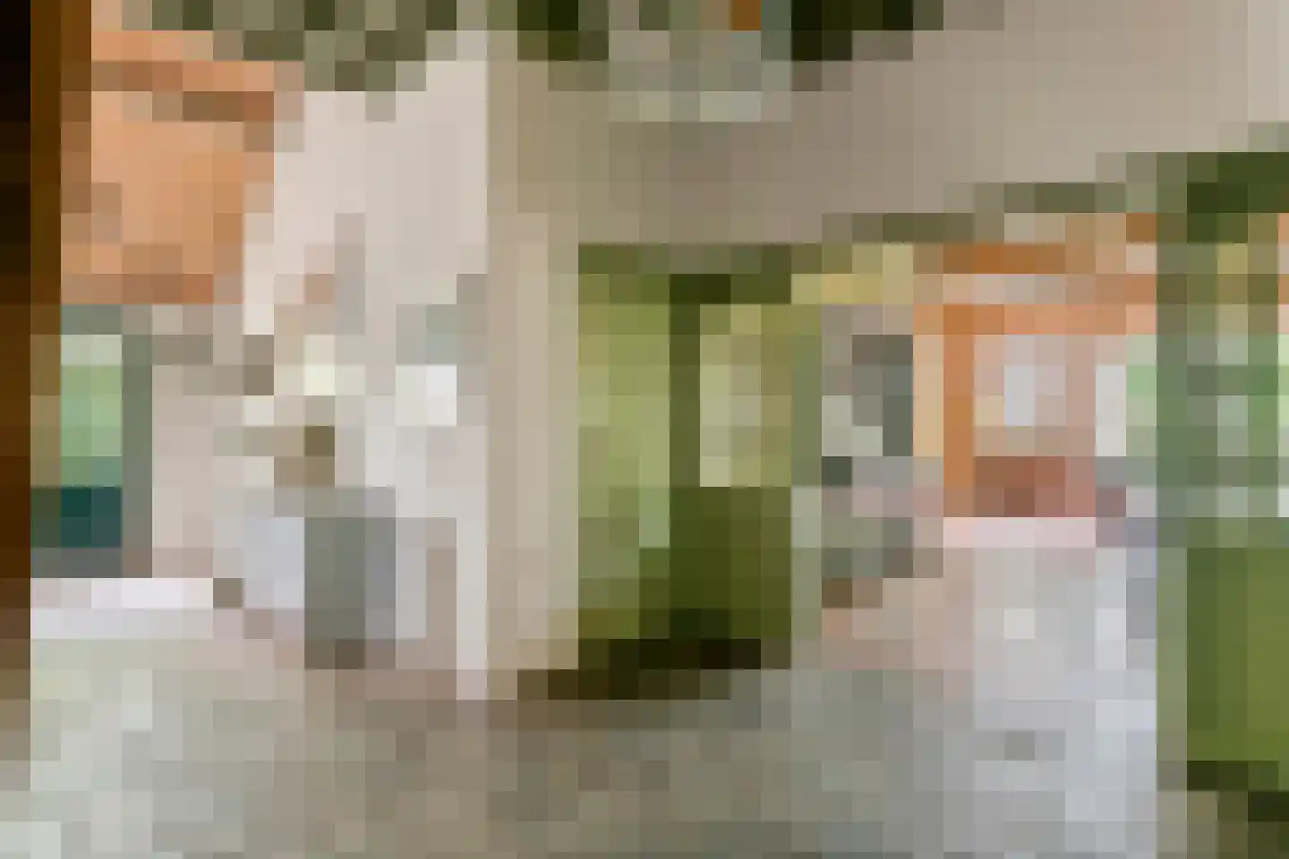 Donkerstraat 14 Ravenswaaij thumbnail 30