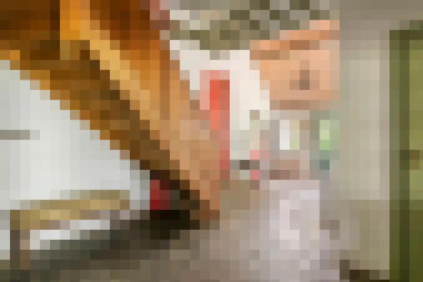 Donkerstraat 14 Ravenswaaij thumbnail 31