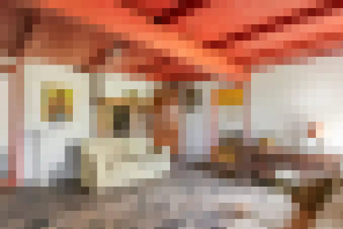Donkerstraat 14 Ravenswaaij thumbnail 35