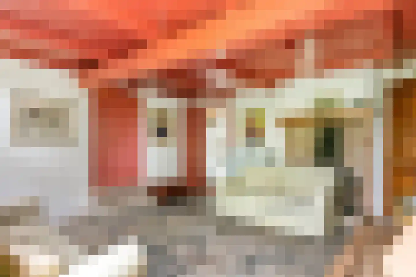 Donkerstraat 14 Ravenswaaij thumbnail 36