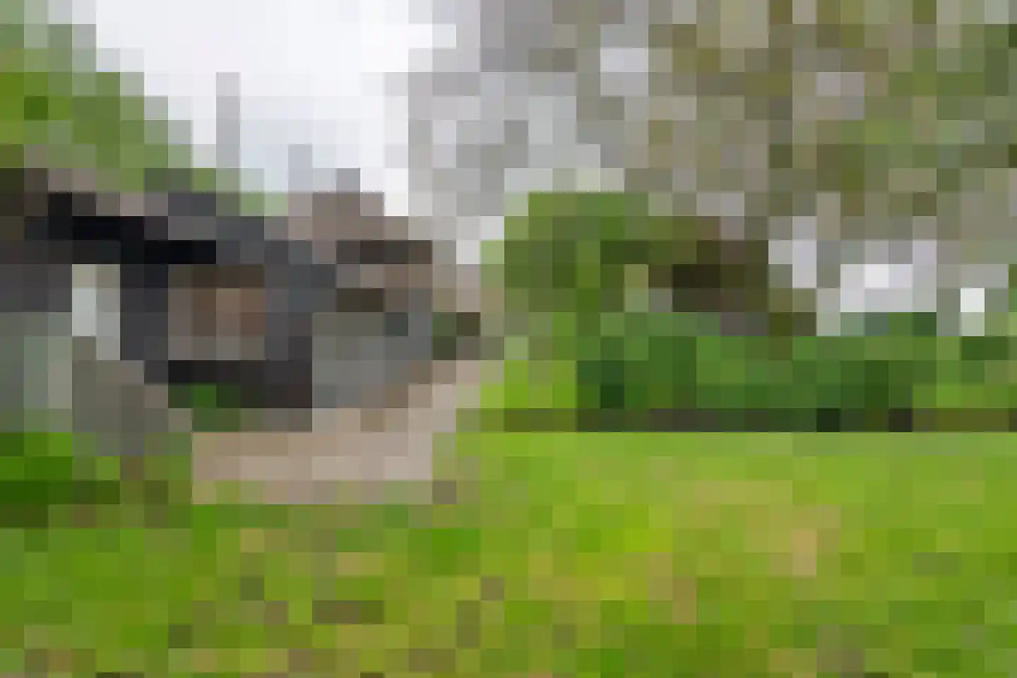 Donkerstraat 14 Ravenswaaij thumbnail 4