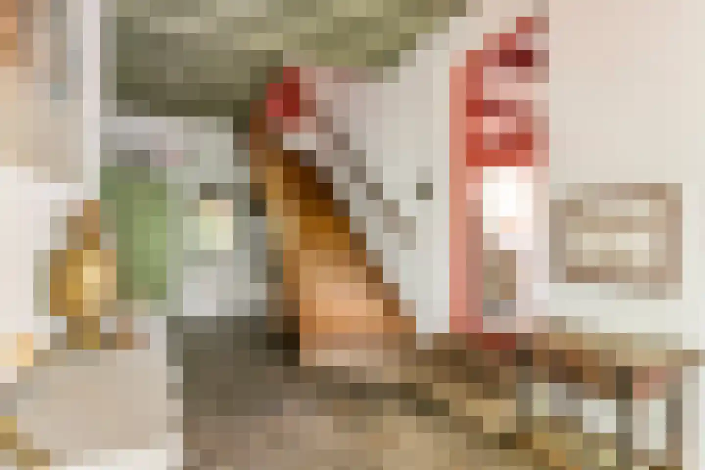 Donkerstraat 14 Ravenswaaij thumbnail 43