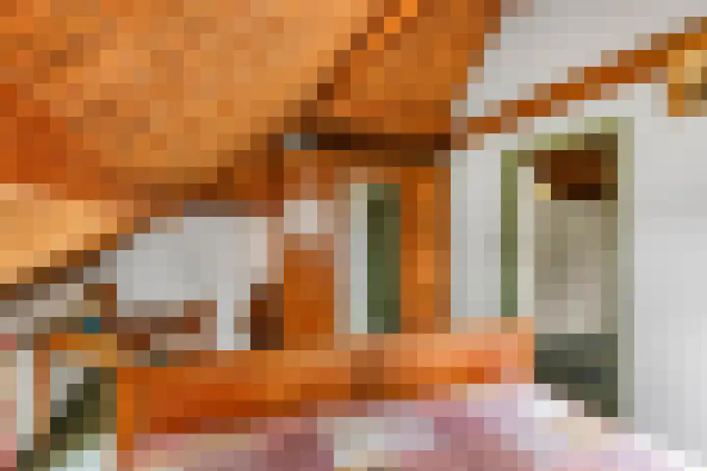 Donkerstraat 14 Ravenswaaij thumbnail 48