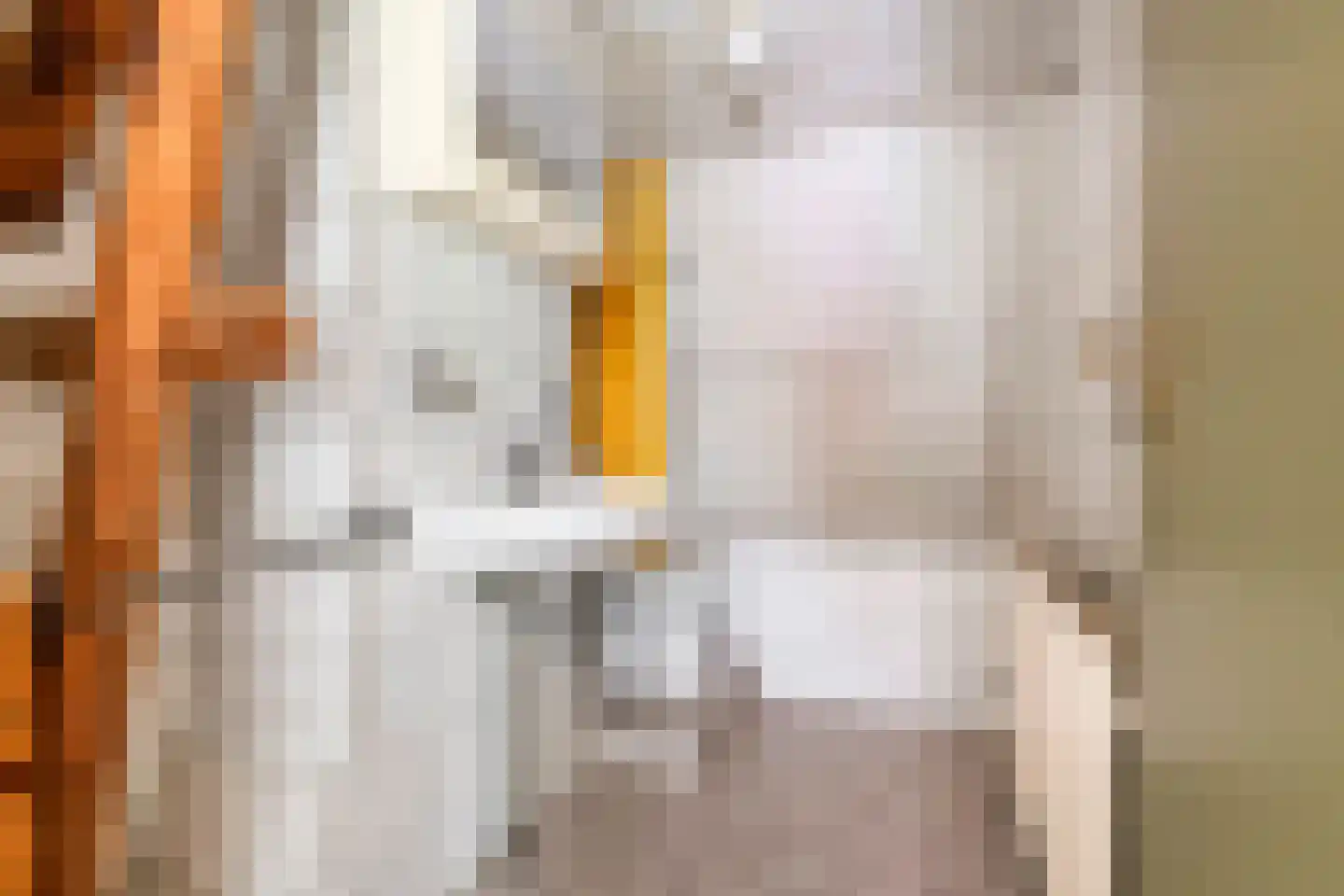 Donkerstraat 14 Ravenswaaij thumbnail 51