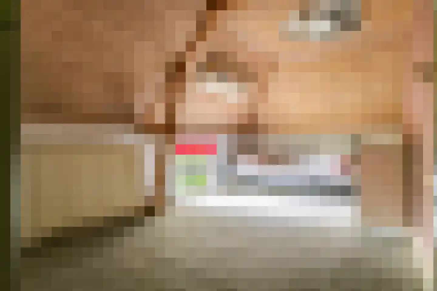 Donkerstraat 14 Ravenswaaij thumbnail 54