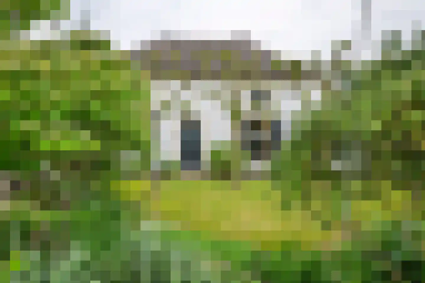 Donkerstraat 14 Ravenswaaij thumbnail 56