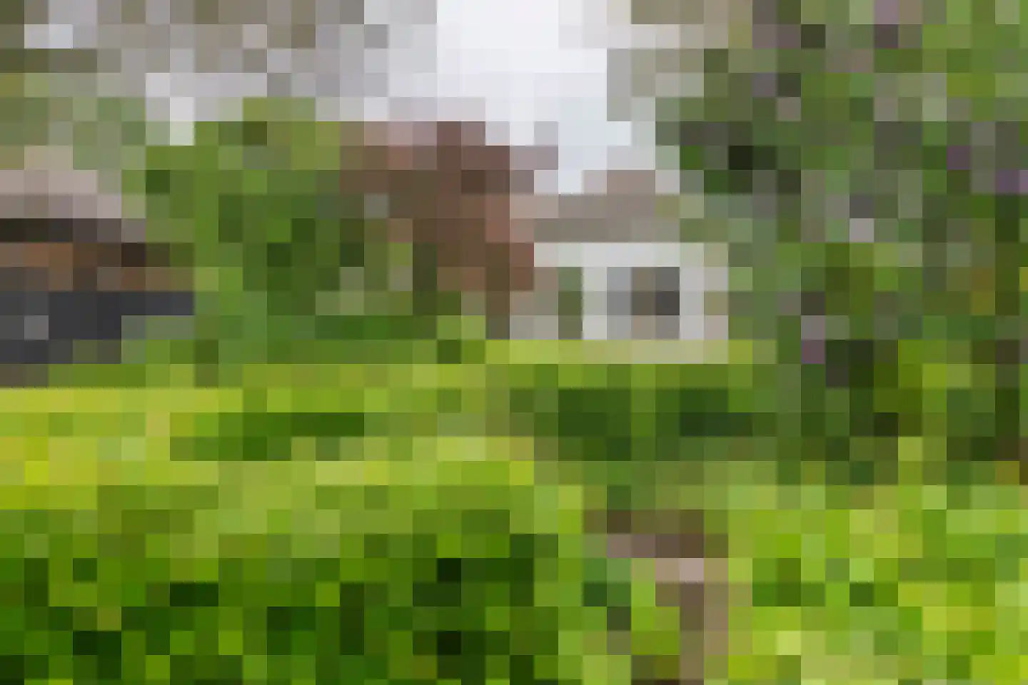 Donkerstraat 14 Ravenswaaij thumbnail 57
