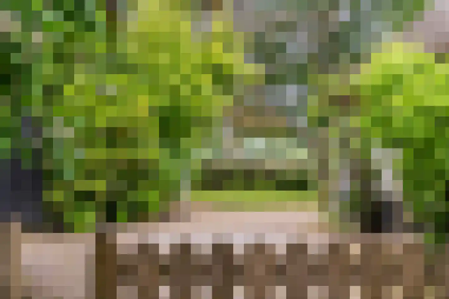 Donkerstraat 14 Ravenswaaij thumbnail 58