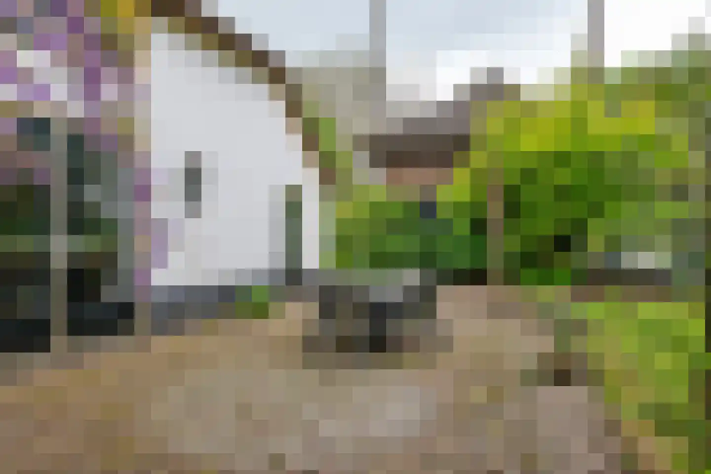 Donkerstraat 14 Ravenswaaij thumbnail 6