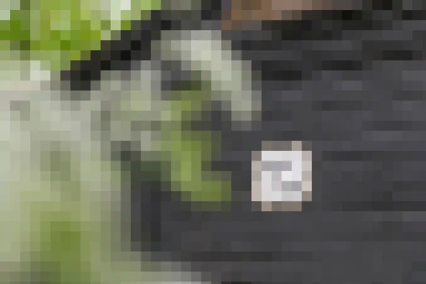Donkerstraat 14 Ravenswaaij thumbnail 62