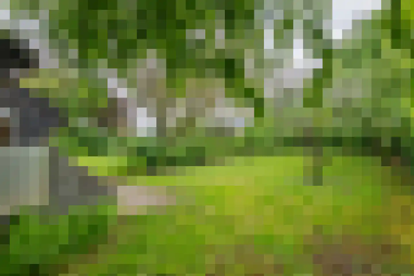 Donkerstraat 14 Ravenswaaij thumbnail 64