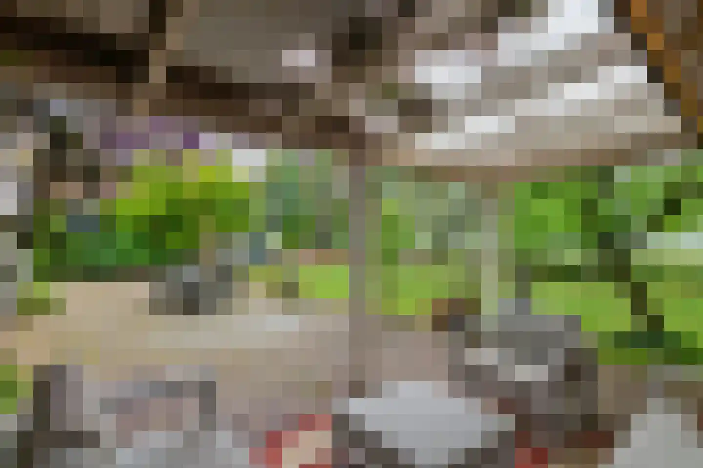 Donkerstraat 14 Ravenswaaij thumbnail 65