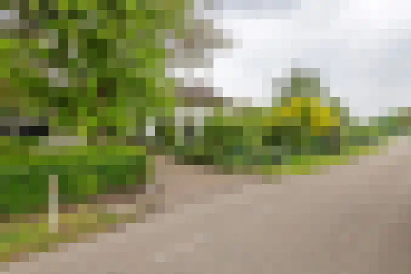 Donkerstraat 14 Ravenswaaij thumbnail 67