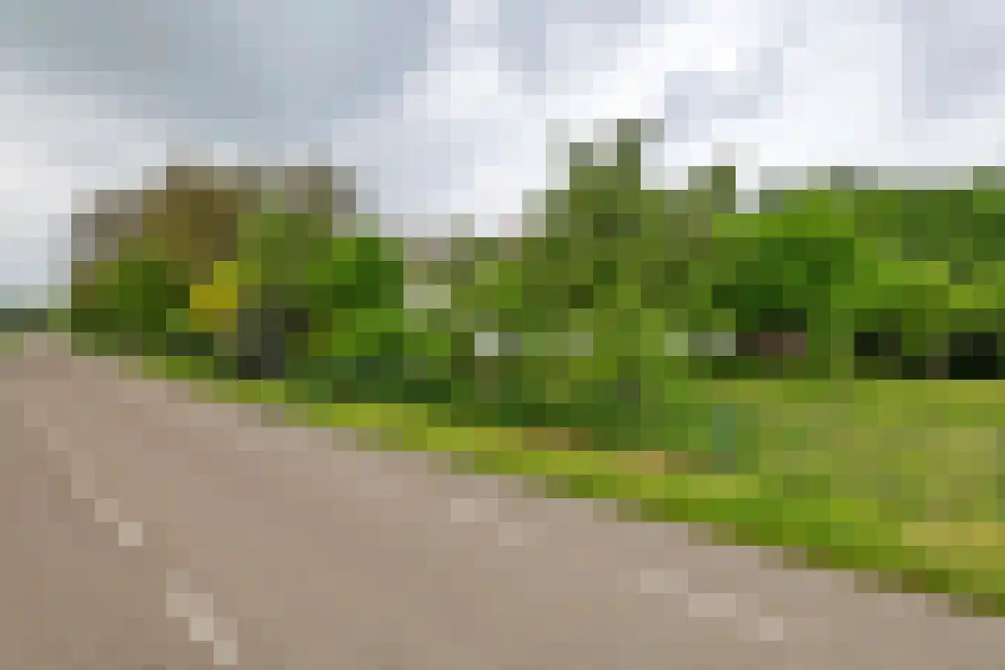 Donkerstraat 14 Ravenswaaij thumbnail 68
