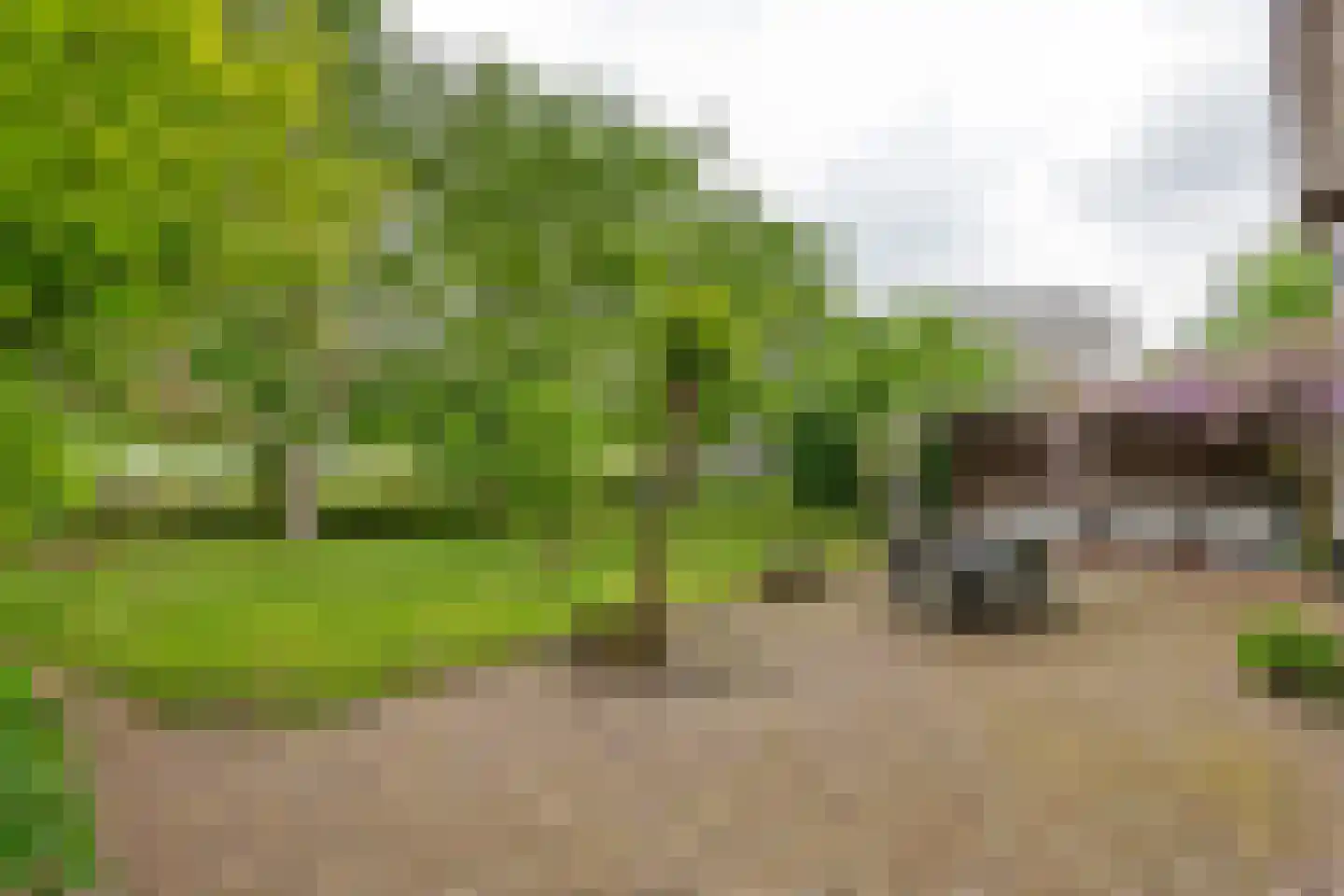Donkerstraat 14 Ravenswaaij thumbnail 8