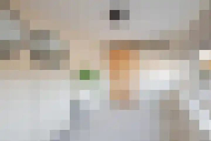 Donkerstraat 17 Oosterhout thumbnail 13